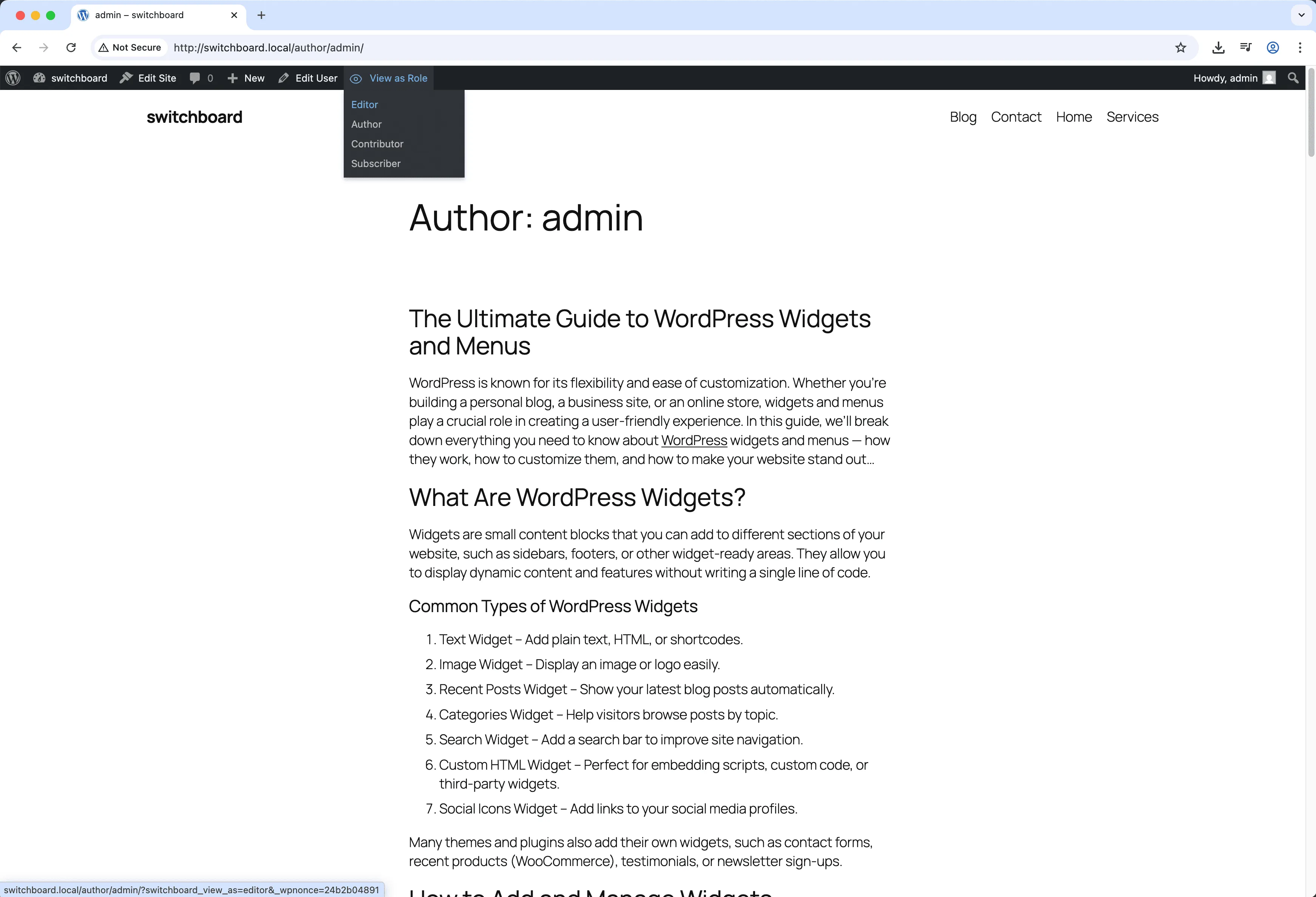 After 1 - View Admin As Role module